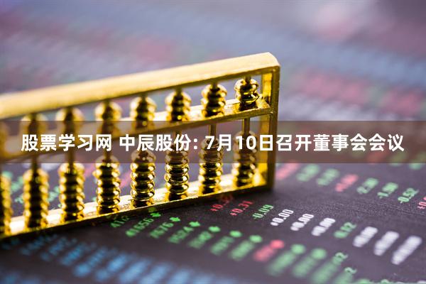 股票学习网 中辰股份: 7月10日召开董事会会议